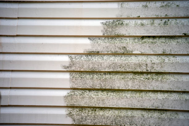 How To Choose The Right Materials for Your Siding Installation in 'Candor, NC